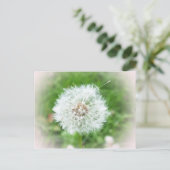 zarte weiße Blüte Postkarte (Stehend Vorderseite)