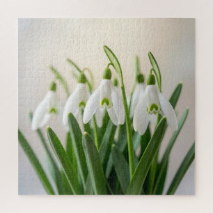 Zarte weiße Schneeglöckchen-Blumen Frühjahrsblüte Puzzle