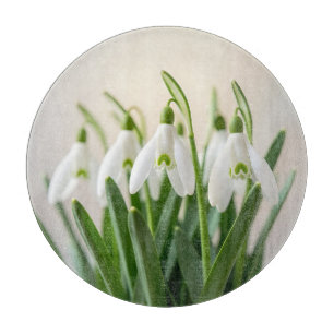 Zarte weiße Schneeglöckchen-Blumen Frühjahrsblüte Schneidebrett