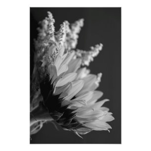 zarter Kontrast Fotodruck