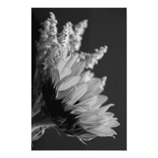 zarter Kontrast Fotodruck (Vorne)