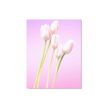 Zarter rosa Tulips gesteppte Leinwand Print
