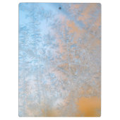 Zartes Frostmuster, Wisconsin Klemmbrett (Rückseite)