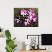 Zartes Orchid Blossoms Mauer Art 28x22 Poster (Heimbüro)