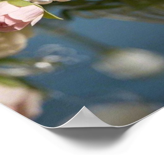 Zartes Rosa Rosa mit Perle in Vase Poster (Ecke)