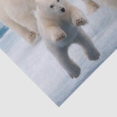 Zartpapier Polar Bear Seidenpapier (Ausschnitt)