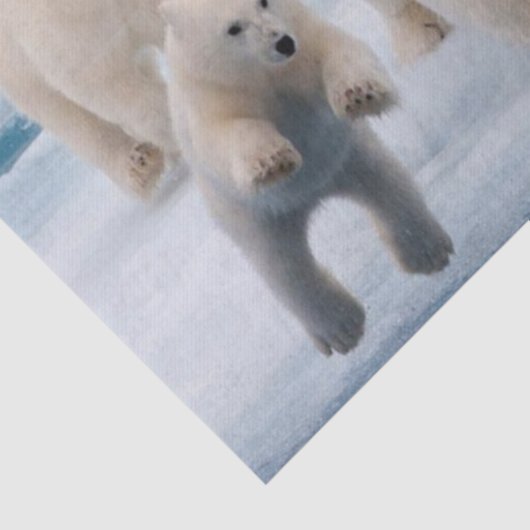 Zartpapier Polar Bear Seidenpapier (Ausschnitt)