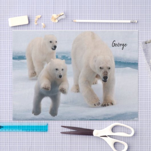Zartpapier Polar Bear Seidenpapier (Handwerk)