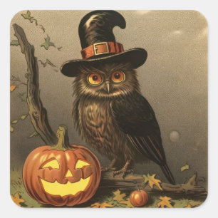 Zauber-Eule und Kürbislaterne Halloween-Aufkleber Quadratischer Aufkleber