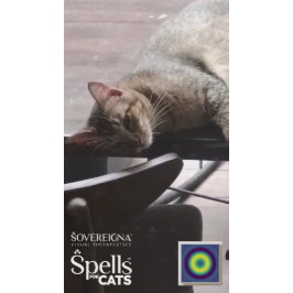 Zauber für Katzen: Ruhige Kitty (Beruhigend) Aufkleber