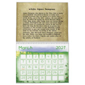 Zauber und Hexen Kalender (Mär 2027)