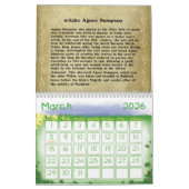 Zauber und Hexen Kalender (Mär 2026)