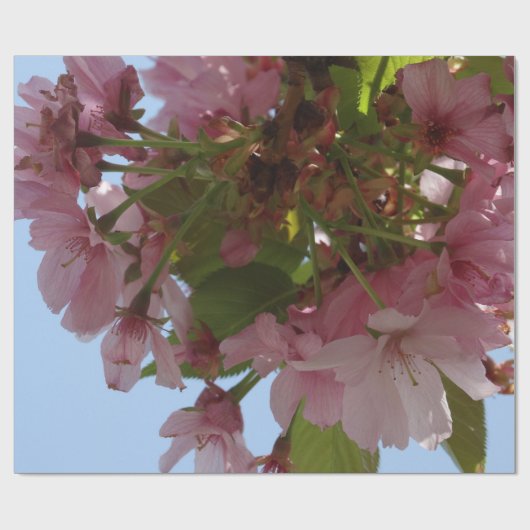 Zauberblüte Geschenkpapier (Flach)