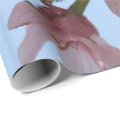 Zauberblüte Geschenkpapier (Rolleneckpunkt)