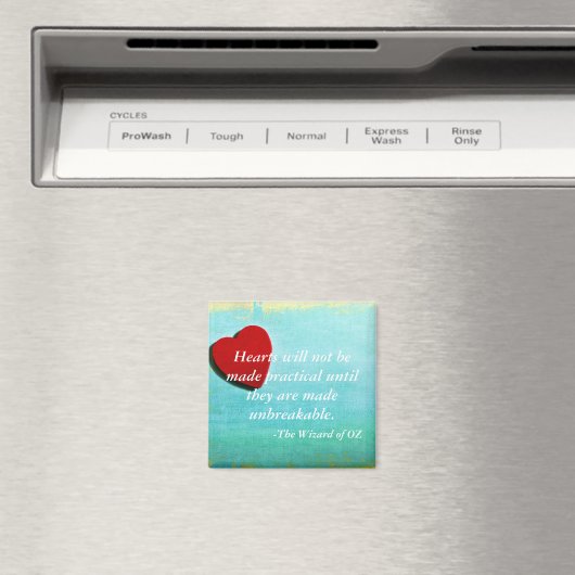 Zauberer des OZ Anführungsmagneten Magnet (In Situ (Geschirrspüler))