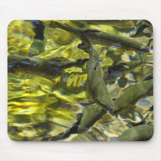 Zauberer fällt Fisch-Brutplatz Mousepad (Vorne)