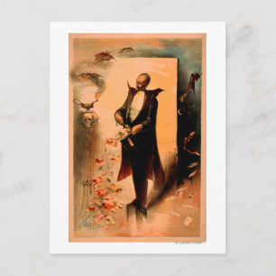Zauberer zieht Rosen aus Hut Poster Postkarte
