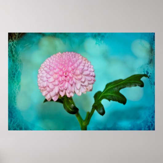 Zauberhafte Blüte Poster (Vorne)