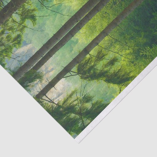 Zauberhafter, grüner Waldpfeifennebel Seidenpapier (Ausschnitt)