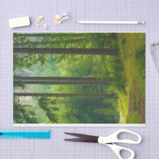 Zauberhafter, grüner Waldpfeifennebel Seidenpapier (Handwerk)