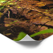 Zauberhafter Wasserfall im bezaubernden grünen Wal Poster (Ecke)