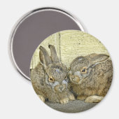 Zaubermagazin "Bunny Babies" Magnet (Vorderseite/Rückseite)