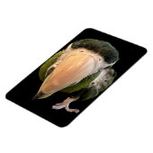 Zaubermagnet Magnet (Linke Seite)