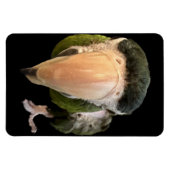 Zaubermagnet Magnet (Horizontal)