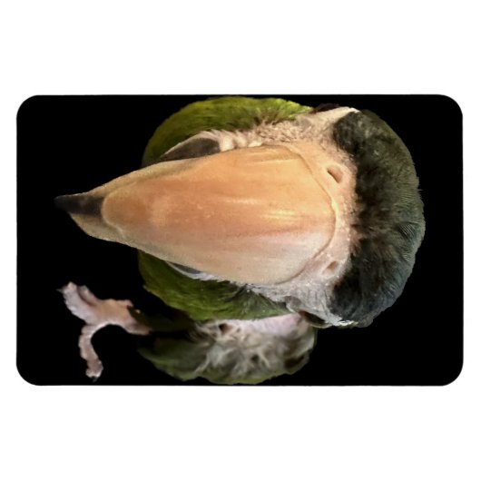 Zaubermagnet Magnet (Horizontal)