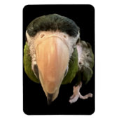 Zaubermagnet Magnet (Vertikal)