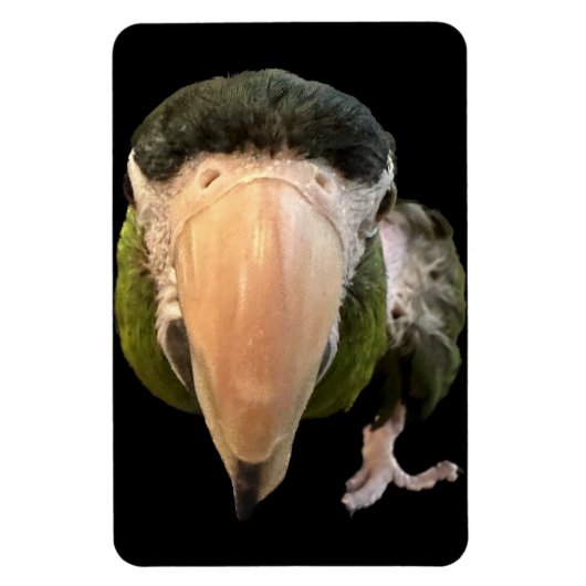 Zaubermagnet Magnet (Vertikal)