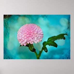 ZauberŌ Blüte Poster