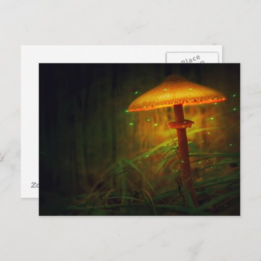 Zaubersprudel Postkarte (Vorne/Hinten)