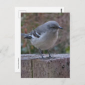 Zaubervogel Postkarte (Vorne/Hinten)