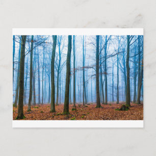 Zauberwald in Nebel in blau und orange Postkarte