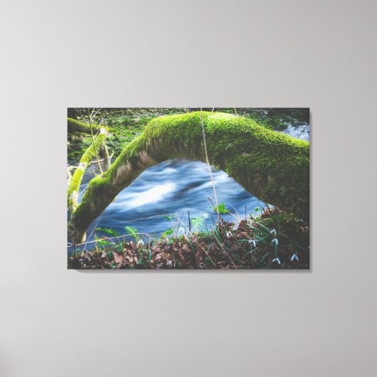 Zauberwald Leinwanddruck (Vorderseite)