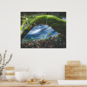 Zauberwald Poster (Küche)