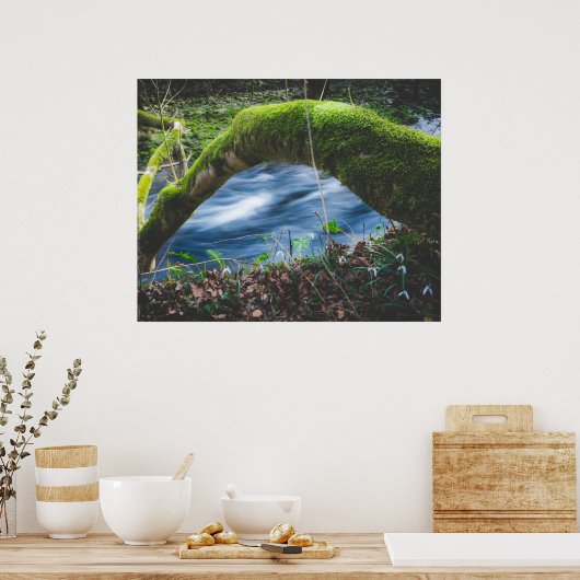 Zauberwald Poster (Küche)