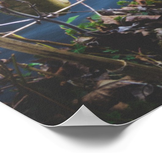 Zauberwald Poster (Ecke)