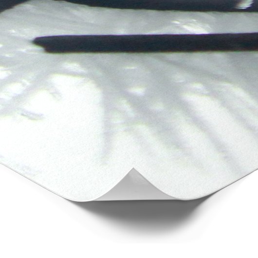 Zaun der schwarzen und weißen Kette Poster (Ecke)