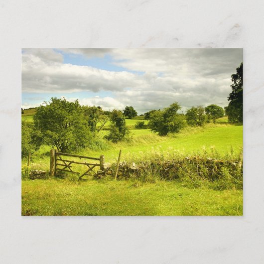 Zaun, Felder und Wiesen Postkarte (Vorderseite)