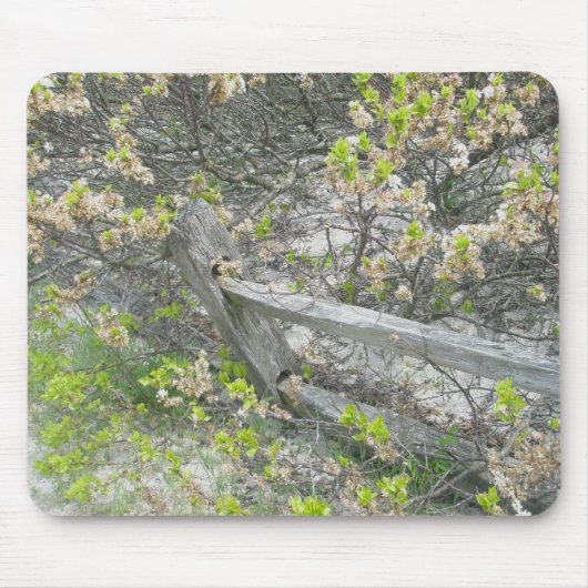 Zaun gegen Dunes IBSP Mousepad (Vorne)