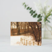 Zaun im Wald auf der Postkarte (Stehend Vorderseite)