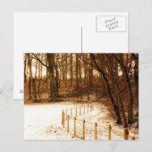 Zaun im Wald auf der Postkarte (Vorne/Hinten)