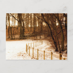 Zaun im Wald auf der Postkarte