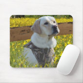 Zaun Labrador retrievers Mousepad (Mit Mouse)