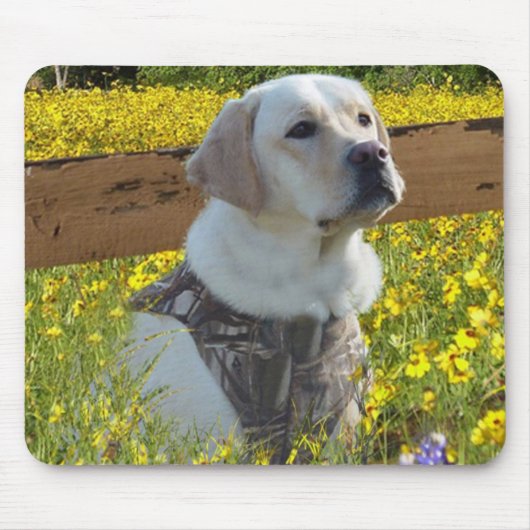 Zaun Labrador retrievers Mousepad (Vorne)