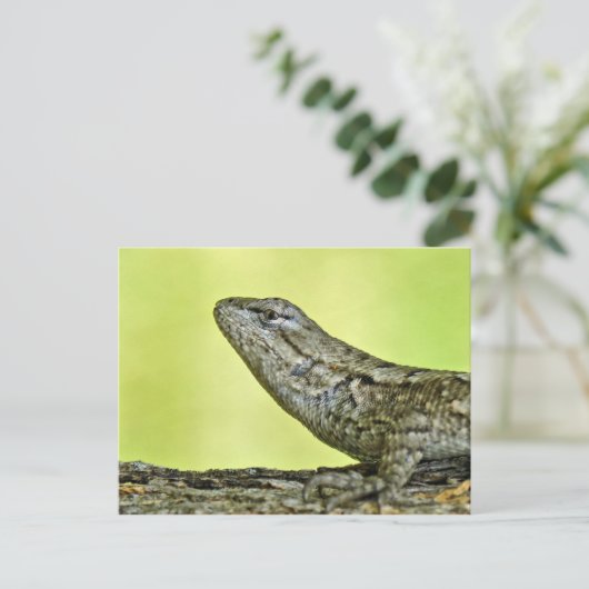 Zaun Lizard Postcard. Postkarte (Stehend Vorderseite)