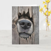 Zaun mit Hundenase Karte (Gelbe Blume)