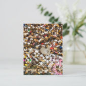 Zaun mit Vorhängeschlöcken der Liebe Fotografie Postkarte (Stehend Vorderseite)